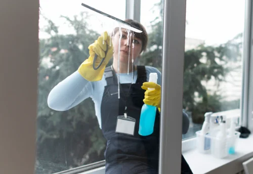 Nettoyage de vitres intérieures et extérieures à Taillebourg